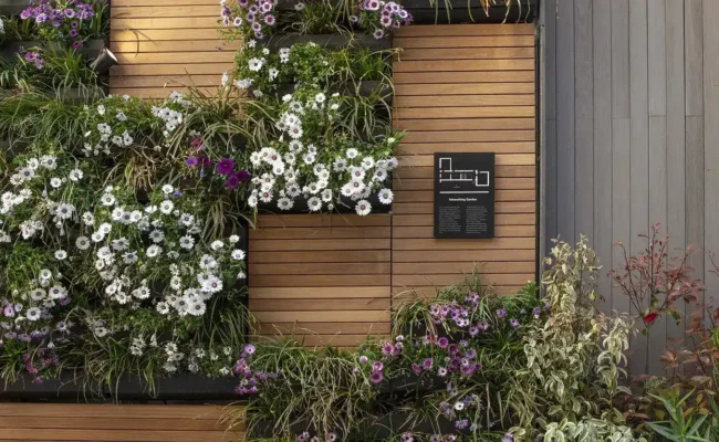 jardin urbano en madera termotratada