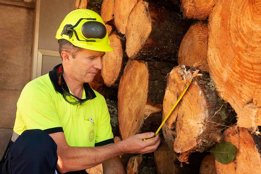 Atributos de la madera.