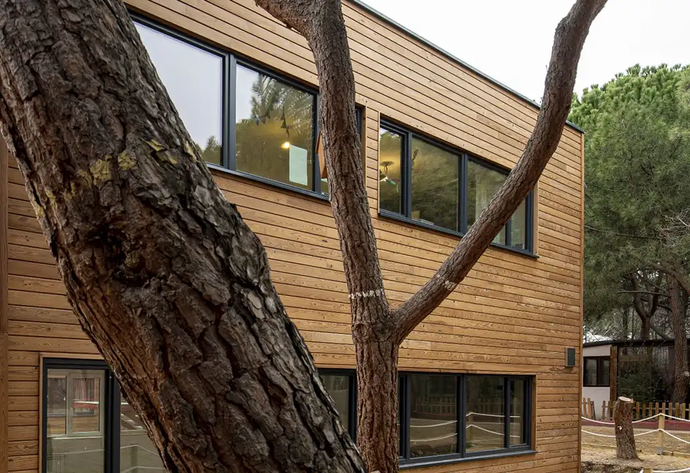 Escuela con revestimiento de pared de madera