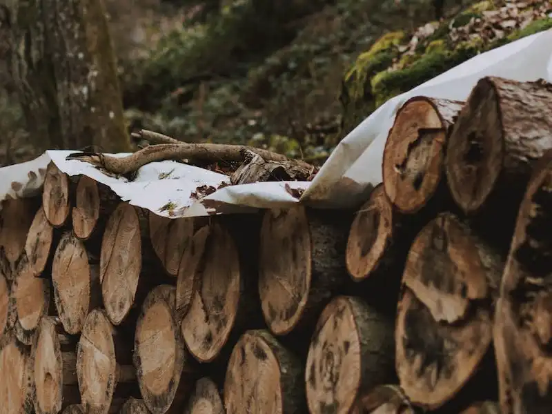 Madera maciza de gestión forestal responsable