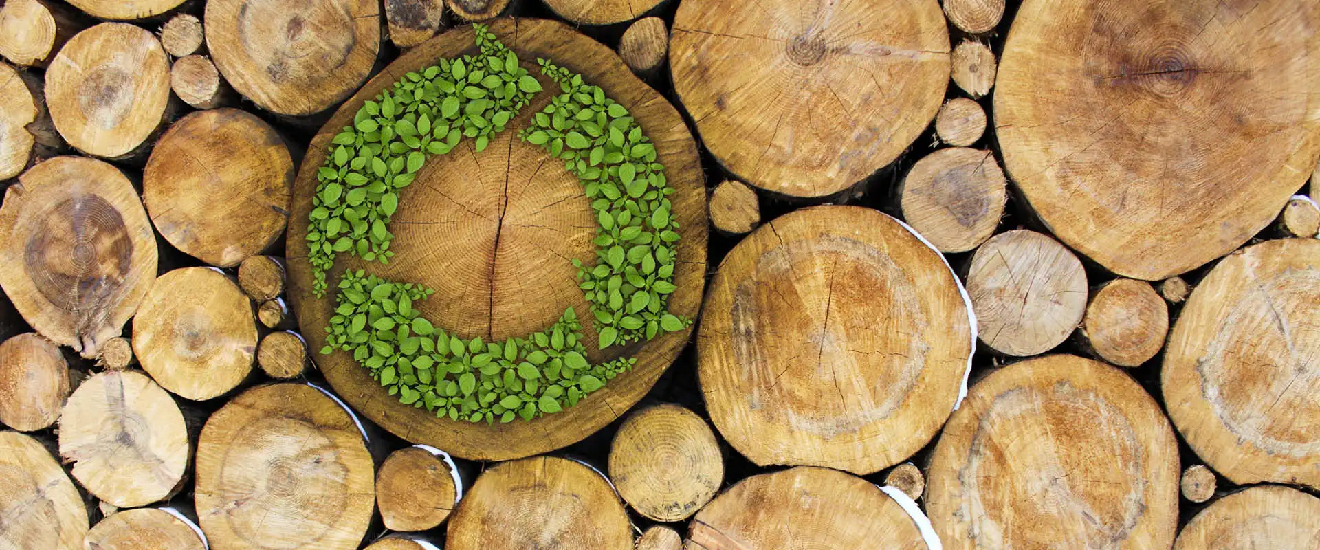 Cabecera artículo eficiencia energética