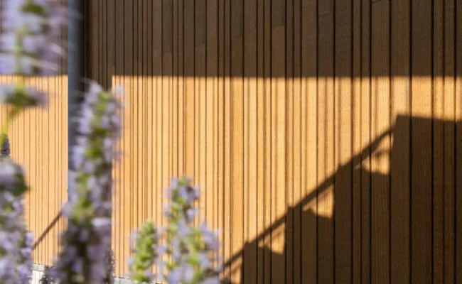 Madera natural Thermopine de pino termotratado de uso exterior