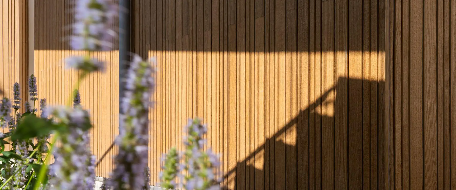 Madera natural Thermopine de pino termotratado de uso exterior